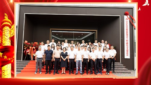 突出黨建引領 跑出發展加速度---長(cháng)沙市新(xīn)浪裝(zhuāng)飾黨支部正式揭牌成立！